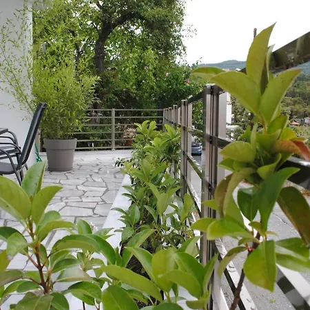 Apartment Panorama House*